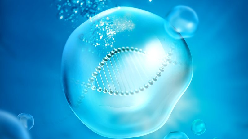 引物合成质量检测：标准与关键点解析**