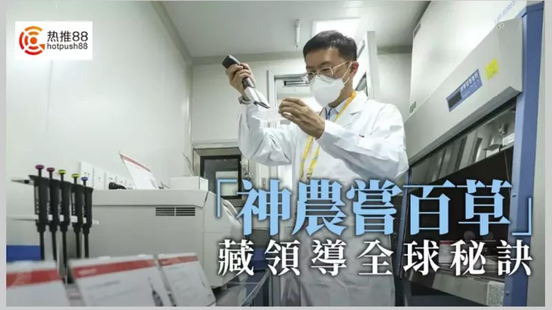生物医药冷链物流成本控制之道：揭秘关键策略