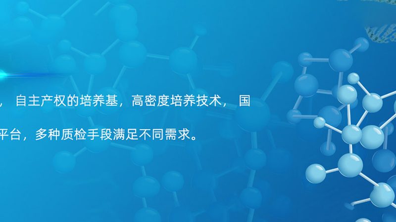 干细胞培养箱：关键参数解析与选型要点**