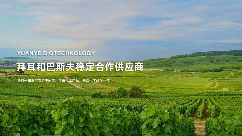 动物组织酶含量测定的关键步骤与注意事项**