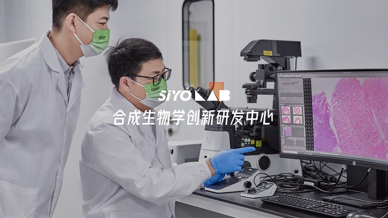 国产与进口实验室耗材：性能差异背后的考量