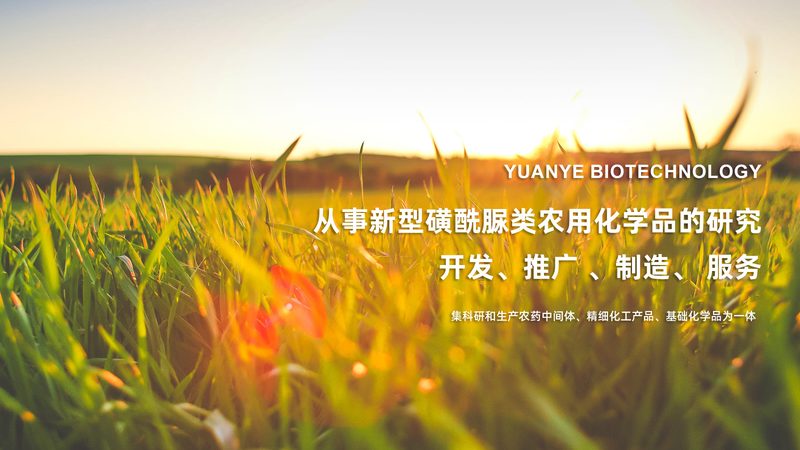 揭秘上海细胞工厂排名之谜：十大亮点解析**