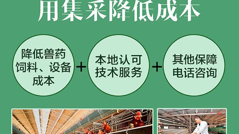生物医药外包合同审核：关键要点与风险防范**