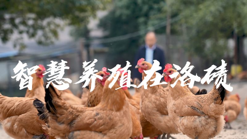 微量离心管尺寸ml对应：揭秘实验室中的“尺寸密码