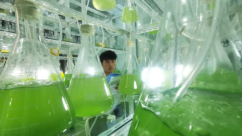 科研试剂，如何选择上海直销厂家？**